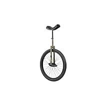 Algopix Similar Product 9 - SUN BICYCLES Unicycle 24 Inch Flat Top