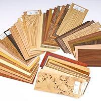 Algopix Similar Product 17 - Sauers Wood Identification Kit