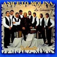 Algopix Similar Product 2 - Vallenato