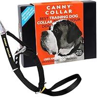 Algopix Similar Product 7 - Canny The Colossus Dog Collar for Large