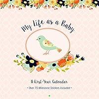 Algopix Similar Product 19 - My Life as a Baby A FirstYear