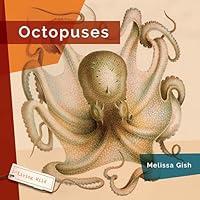 Algopix Similar Product 19 - Octopuses