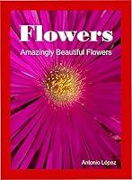 Algopix Similar Product 15 - Flowers. Amazingly Beautiful Flowers.