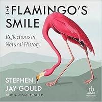 Algopix Similar Product 17 - The Flamingos Smile Reflections in