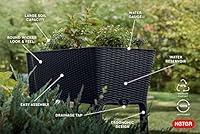 Algopix Similar Product 6 - Keter Easy 317 Gallon Raised Garden