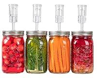 Algopix Similar Product 11 - Jillmo Fermentation Kit Stainless