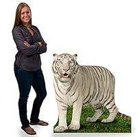 Algopix Similar Product 5 - 3 ft 10 in Jungle Safari White Tiger