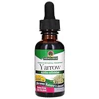 Algopix Similar Product 14 - Natures Answer Yarrow Flowers Dried