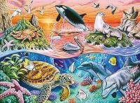 Algopix Similar Product 20 - Ravensburger Beautiful Ocean Jigsaw