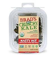 Algopix Similar Product 1 - Brads Raw Organic Gluten Free Crunchy