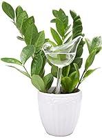 Algopix Similar Product 4 - Mkono 1 Pack Self Watering Globes 