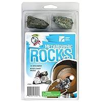 Algopix Similar Product 4 - American Educational Explore with Me