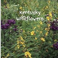 Algopix Similar Product 17 - Wildflowers in Kentucky