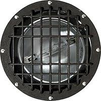 Algopix Similar Product 2 - Dabmar Lighting FG4380GRL Fiberglass