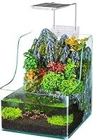 Algopix Similar Product 7 - PennPlax Aqua Terrarium Planting Tank
