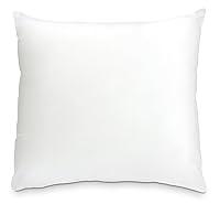 Algopix Similar Product 1 - Foamily Throw Pillow Insert 18 x 18