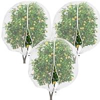 Algopix Similar Product 7 - THMINS 3 Pcs 6x7ft Large Fruit Tree