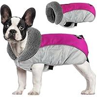 Algopix Similar Product 5 - Dogcheer Ripstop Dog Coat Waterproof