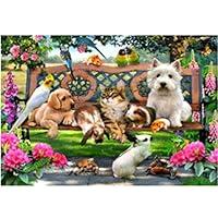 Algopix Similar Product 1 - Clearance5D Rhinestone  Canvas