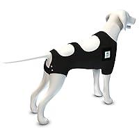 Algopix Similar Product 5 - Calm Paws Calming Recovery Vest with