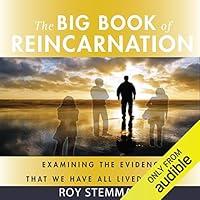 Algopix Similar Product 4 - The Big Book of Reincarnation