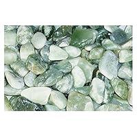 Algopix Similar Product 11 - Exotic Pebbles PJ201030 20 lb Polished