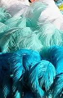 Algopix Similar Product 14 - Moonlight Feather  12 Lb  1824