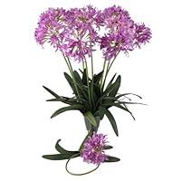 Algopix Similar Product 16 - Pik 29 Ih Afia Liy Sem (Se of 12)