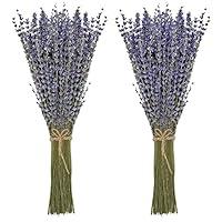 Algopix Similar Product 15 - Timoo Dried Lavender Bundles 100