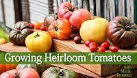 Algopix Similar Product 14 - Growing Heirloom Tomatoes