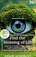 Algopix Similar Product 20 - Find the Meaning of Life Agile leading