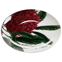 Algopix Similar Product 1 - Maxwell  Williams Botanic Floral