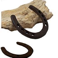 Algopix Similar Product 2 - IWGAC 0170S05208bulk Large Horseshoe