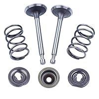 Algopix Similar Product 4 - HAISHINE Intake Exhaust Valve Spring