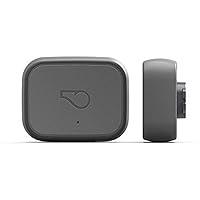 Algopix Similar Product 14 - Whistle 3  GPS Pet Tracker  Activity