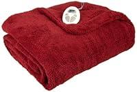 Algopix Similar Product 12 - Sunbeam Heated Blanket  LoftTec 10
