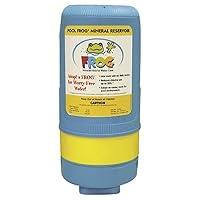 Algopix Similar Product 7 - King Technology Inground Pool Frog