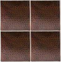 Algopix Similar Product 18 - Premier Copper Products T6DBH_PKG4