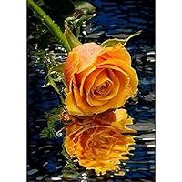 Algopix Similar Product 14 - Yeefant Flower with Water Embroidery