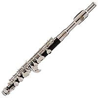 Algopix Similar Product 10 - Ravel RPC202 Student Piccolo
