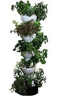 Algopix Similar Product 12 - Foody 8 Vertical Hydroponic Home Garden