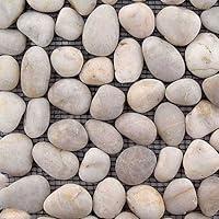 Algopix Similar Product 11 - Solistone Honed White Onyx 12 x 12 Inch