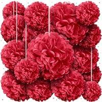 Algopix Similar Product 1 - Red Tissue Paper Pom Poms  Assorted