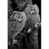 Algopix Similar Product 16 - Scratch Art Black Coated Scratchboards