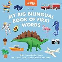 Algopix Similar Product 17 - My Big Bilingual Book of First Words