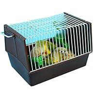 Algopix Similar Product 1 - NAKIQ Simple Middle and Small Parrot