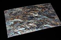 Algopix Similar Product 13 - Dragon Paua Shell Coated Veneer Sheet