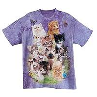 Algopix Similar Product 6 - Fox Valley Traders Springtime Kitten