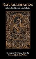 Algopix Similar Product 14 - Natural Liberation Padmasambhavas