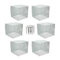 Algopix Similar Product 5 - 6 New Small Wire Plant Protectors 12